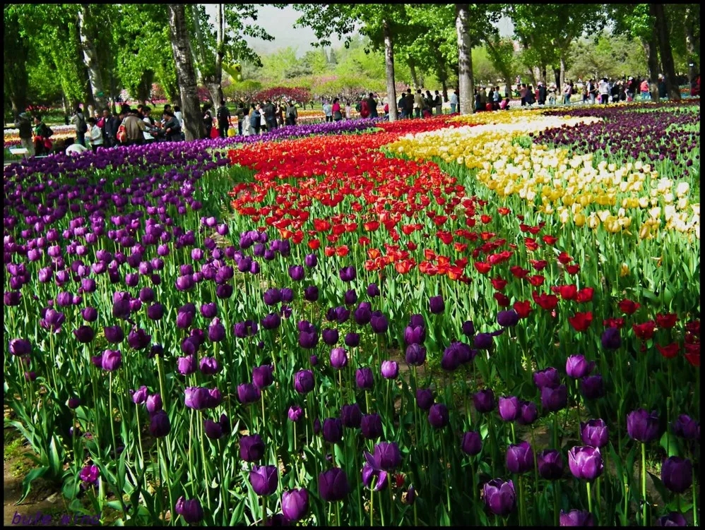 【出游正當(dāng)時(shí)】5月6日松鼠戶外香植溜腿