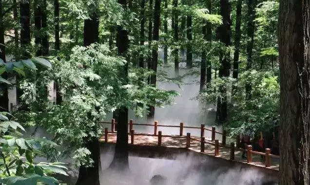 【出游正當(dāng)時(shí)】5月6日松鼠戶外香植溜腿