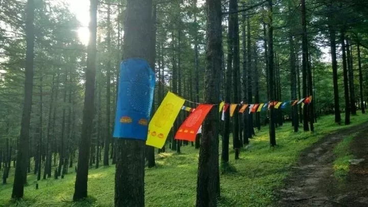 【松鼠戶外】7.13~7.15，每年走一次，五臺山朝臺之路