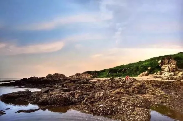 【無人島露營】7.20~7.22 相約海邊，看日出、捉螃蟹
