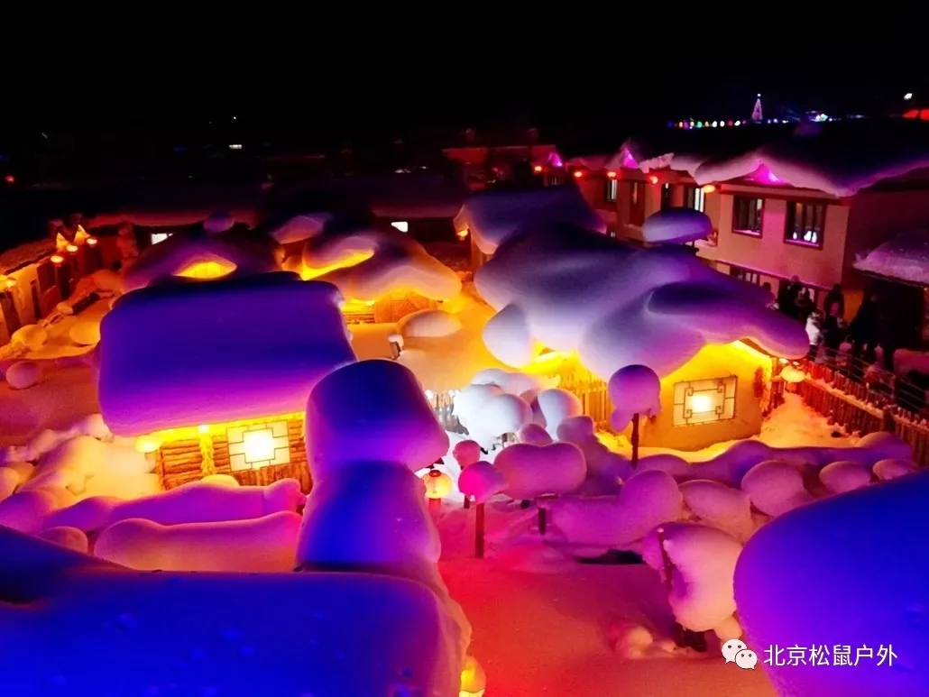 【元旦雪鄉(xiāng)】丨冰雪童話世界，雪谷、雪鄉(xiāng)、霧凇島、哈爾濱冰燈，體驗東北林海雪原，跨年火車團，不用請假