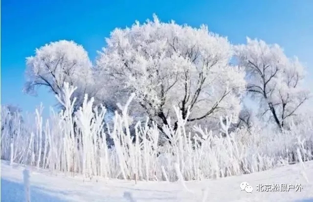 【元旦雪鄉(xiāng)】丨冰雪童話世界，雪谷、雪鄉(xiāng)、霧凇島、哈爾濱冰燈，體驗東北林海雪原，跨年火車團，不用請假