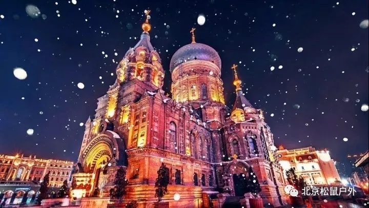 【元旦雪鄉(xiāng)】丨冰雪童話世界，雪谷、雪鄉(xiāng)、霧凇島、哈爾濱冰燈，體驗東北林海雪原，跨年火車團，不用請假