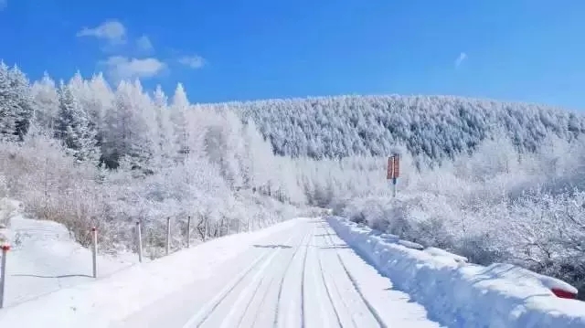 雪鄉今年還坑人嗎，北京去雪鄉旅游現在還能去嗎