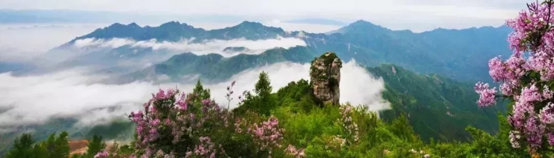 白石山 女神免票啦 巍巍太行天下奇山 國家5A景區