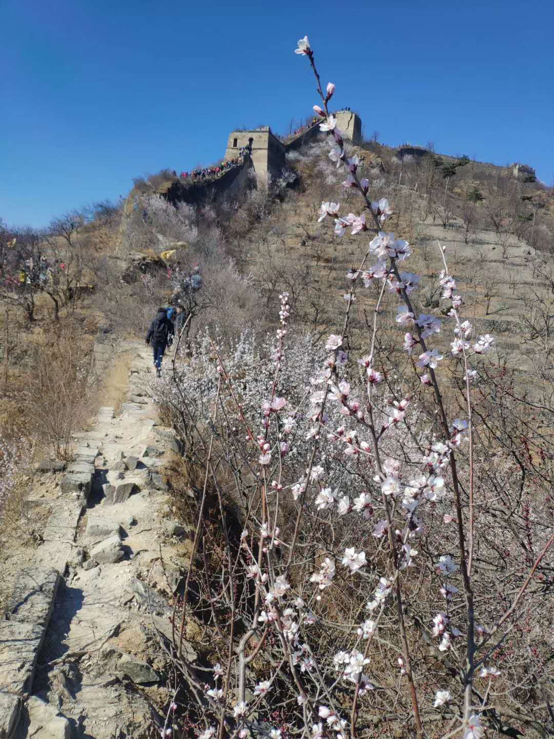 水長城徒步看那十里桃花
